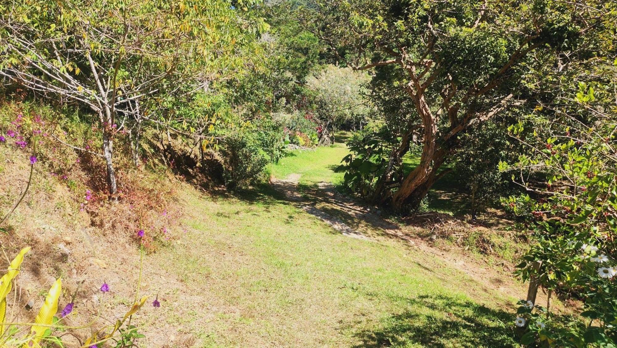 Hospedajes Richie Eco Camp Providencia Eksteriør bilde